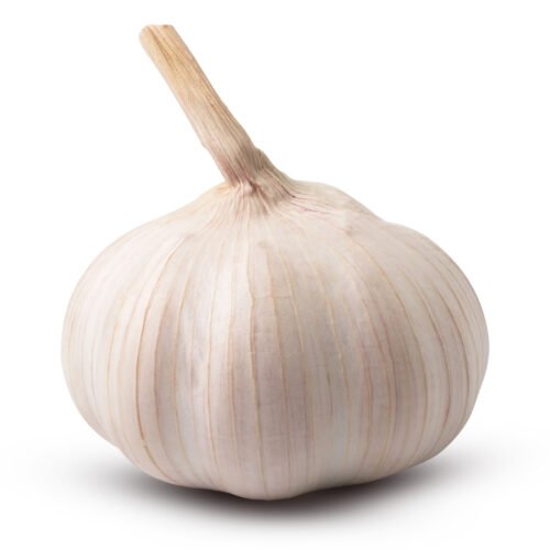 Beautiful garlic isolated on white background. with clipping path. Fresh Egyptian Garlic