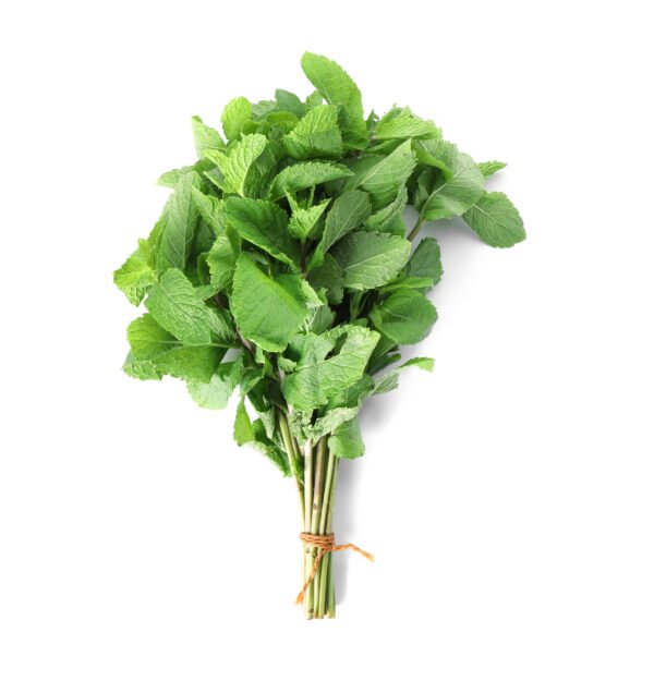 Bunch of mint on white background, top view. Fresh herb Frozen Egyptian Molokhya