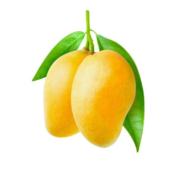 fresh-mango-fruit-circle-sticker-1 Fresh Egyptian Mango