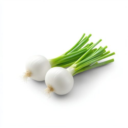 Fresh Scallions on White Background Fresh Egyptian Spring Onions